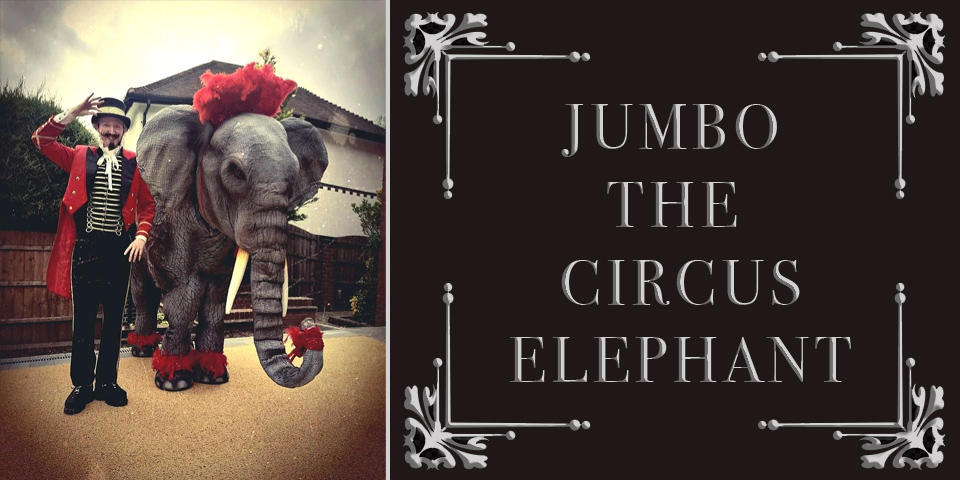 Real life effect animatronic elephant costume for hire UK. Elephant themed entertainment.