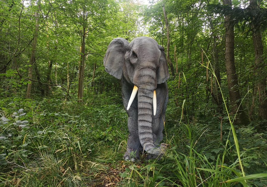 Real life effect animatronic elephant costume for hire UK. Elephant themed entertainment.